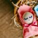 اختيار الجنس في شمال قبرص - اختيار جنس طفلك