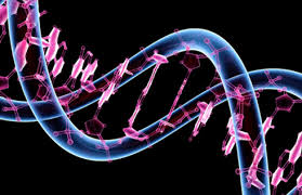 التشخيص الوراثي قبل الزرع PGD للاضطرابات الوراثية مثل التليف الكيسي وضمور دوشين الذكوري