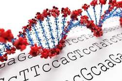 Next generation sequencing method in Cyprus for PGD