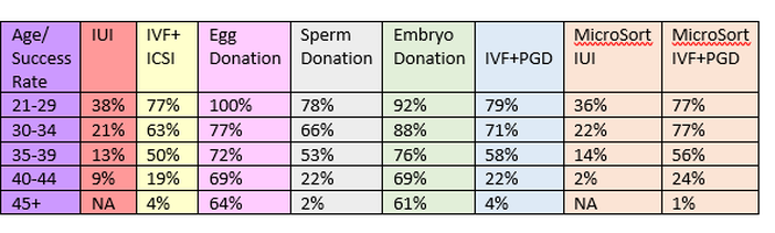 Egg donation success rates at North Cyprus IVF Clinic