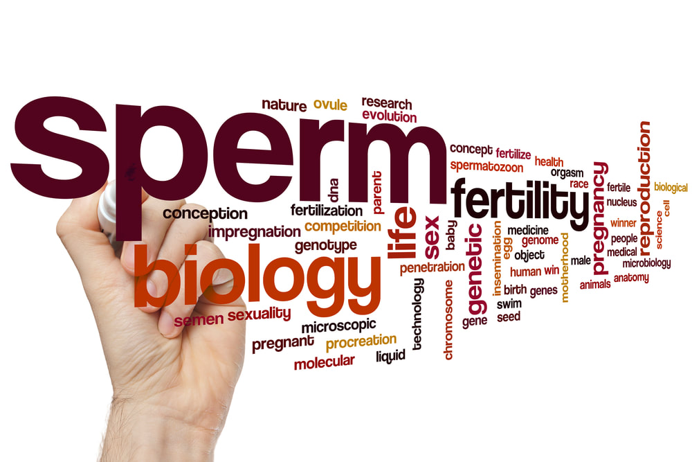 Semen analysis results interpretation