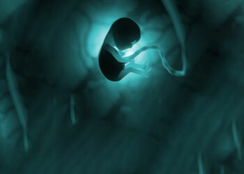 Системы оценки эмбрионов во время циклов ЭКО