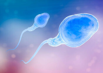 Влияние старения на сперматозоиды: протокол борьбы со старением спермы