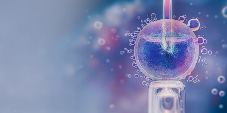Nivel bajo de AMH: ¿Aún es posible utilizar mis propios óvulos en un ciclo de FIV?