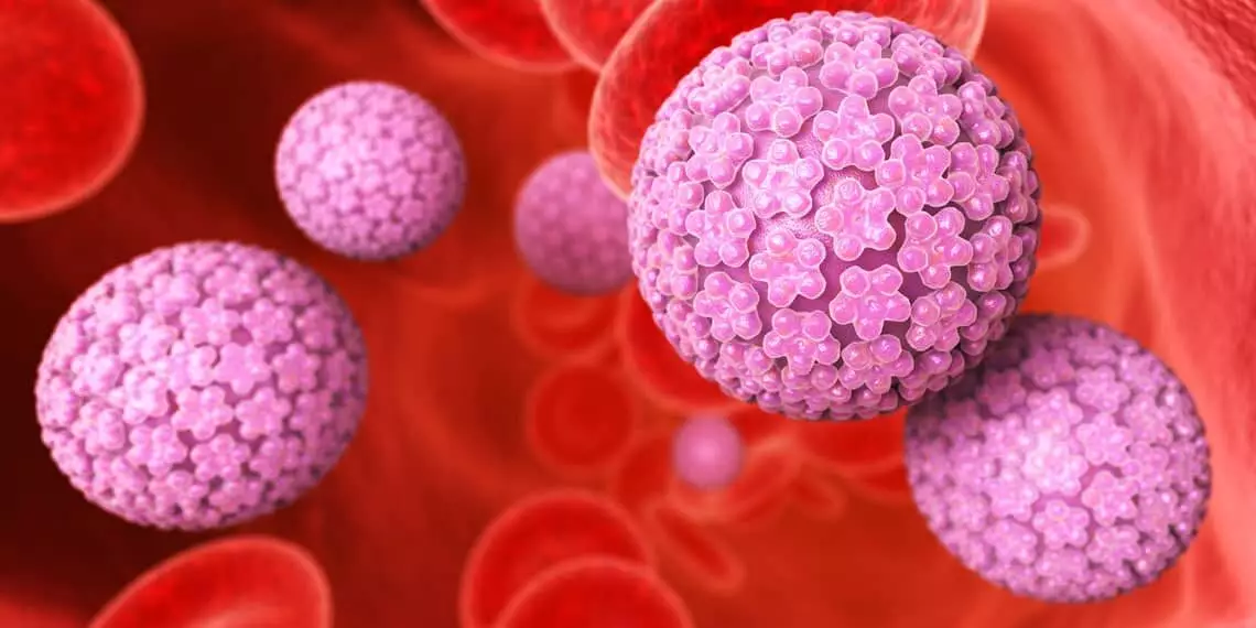 Test del genotipo Hpv
