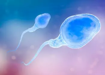 Los efectos del envejecimiento en los espermatozoides: protocolo antienvejecimiento de espermatozoides