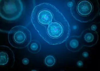 NMN y la salud de los ovocitos: uso de NMN como complemento en ciclos de FIV.